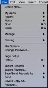 File Menu FileMaker 17